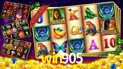 win905